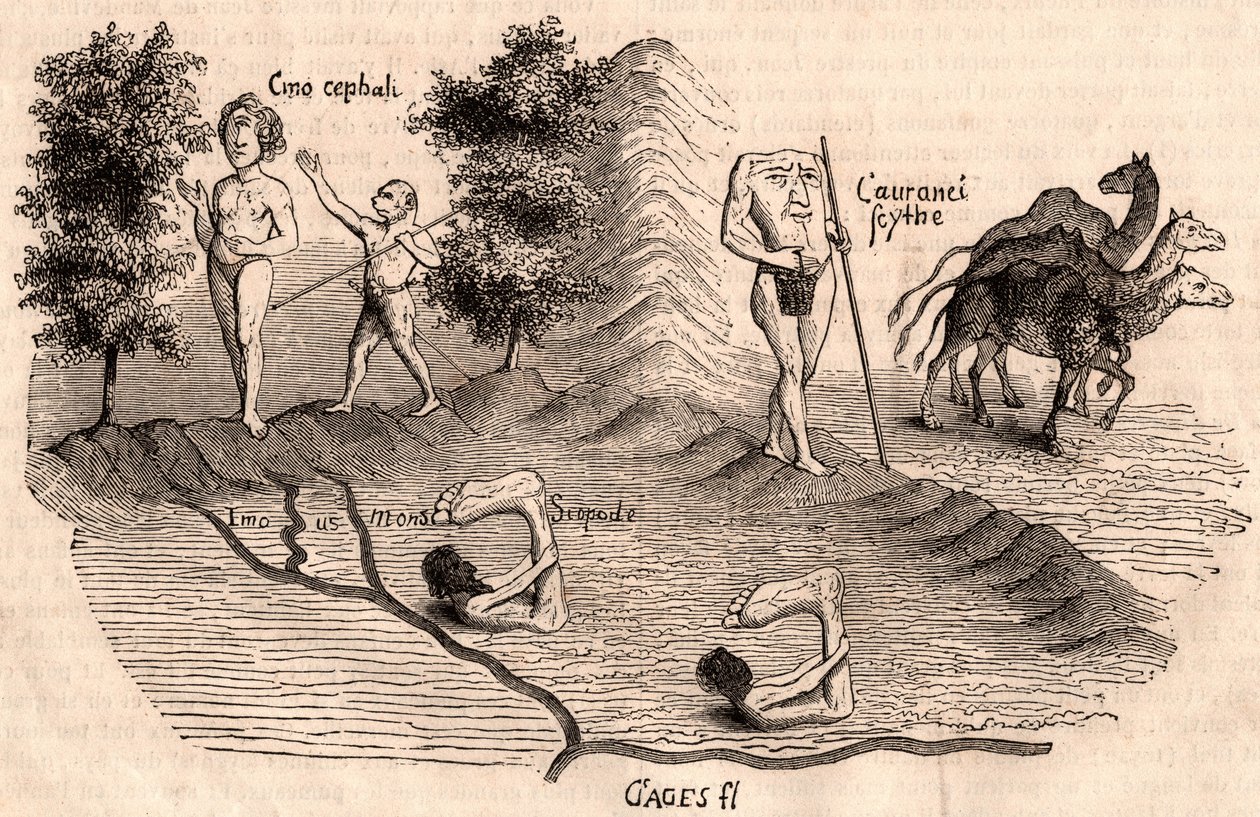 Ortaçağ kabilelerinin ve hayvan türlerinin temsili: Monocules, Blemmys, Sciopodes ve develer by Unknown artist