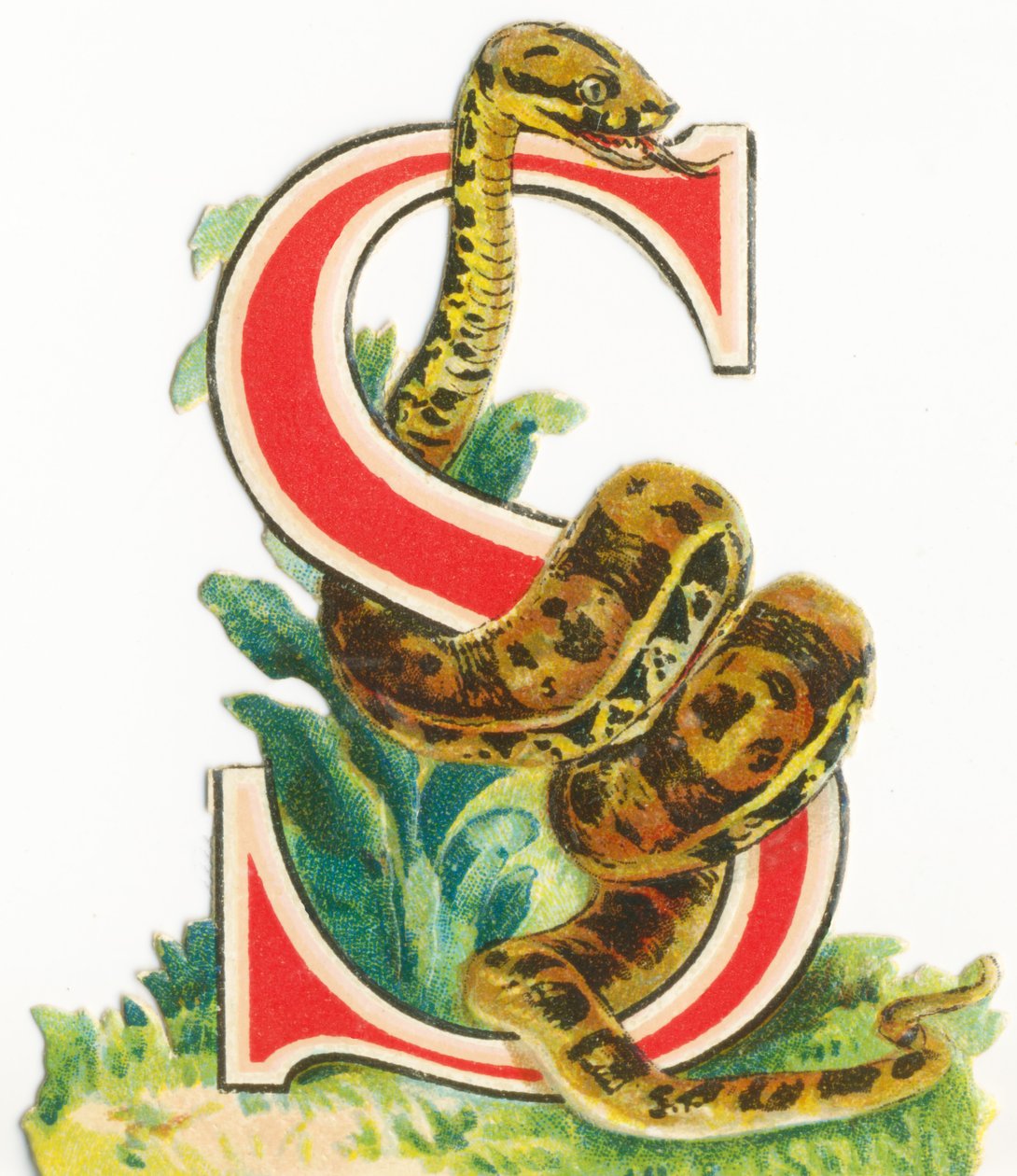 S: yılan by Unknown artist