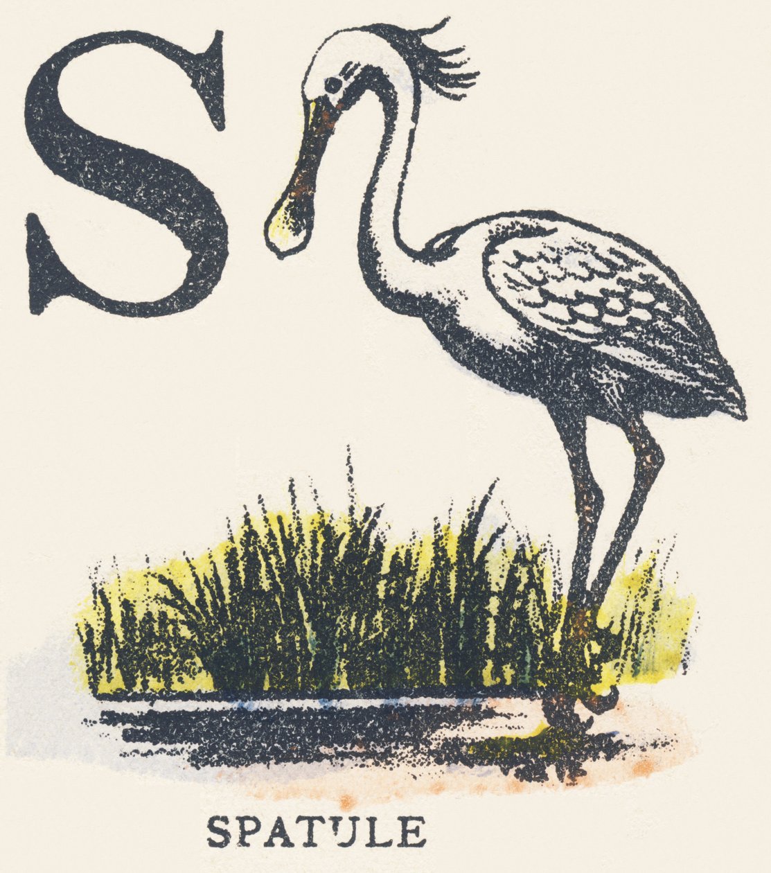 S: spatula by Unknown artist