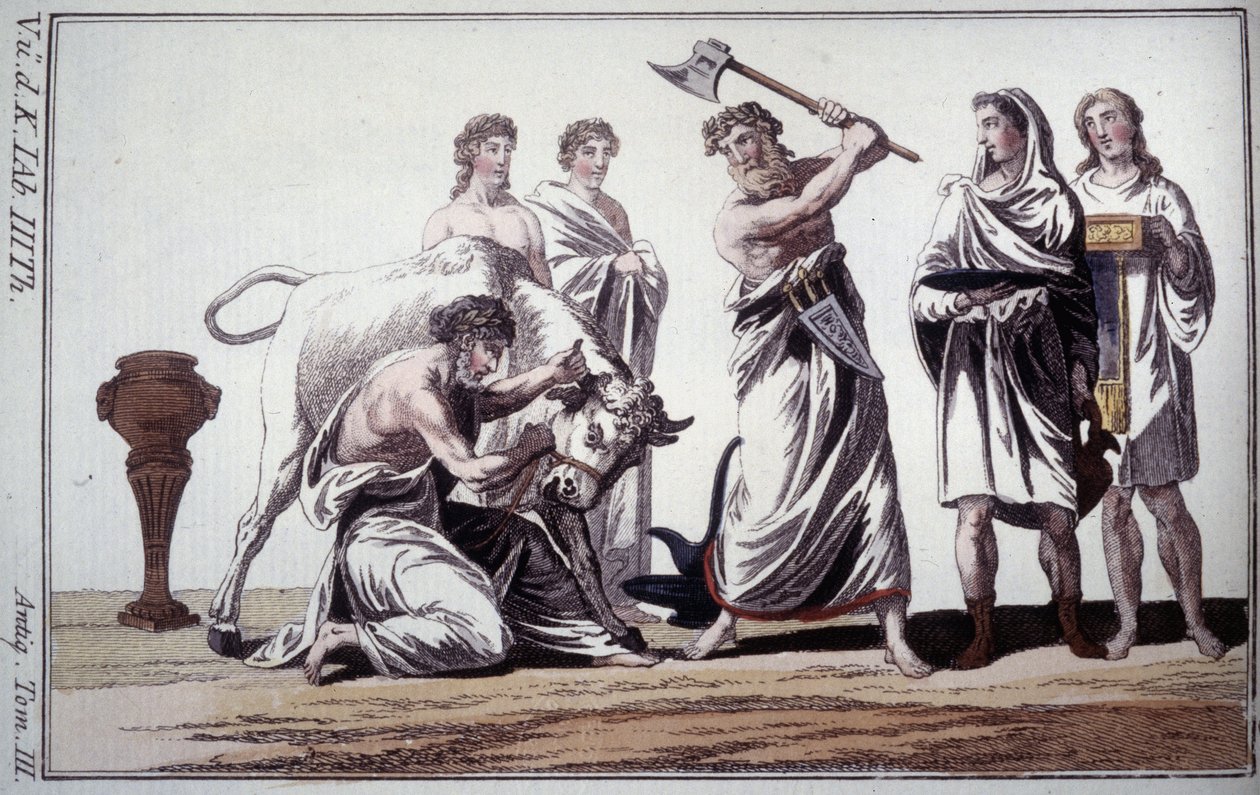 Boğa kurbanı. Roma antik döneminde gelenek. 19. yüzyılın başlarında gravür. by Unknown artist