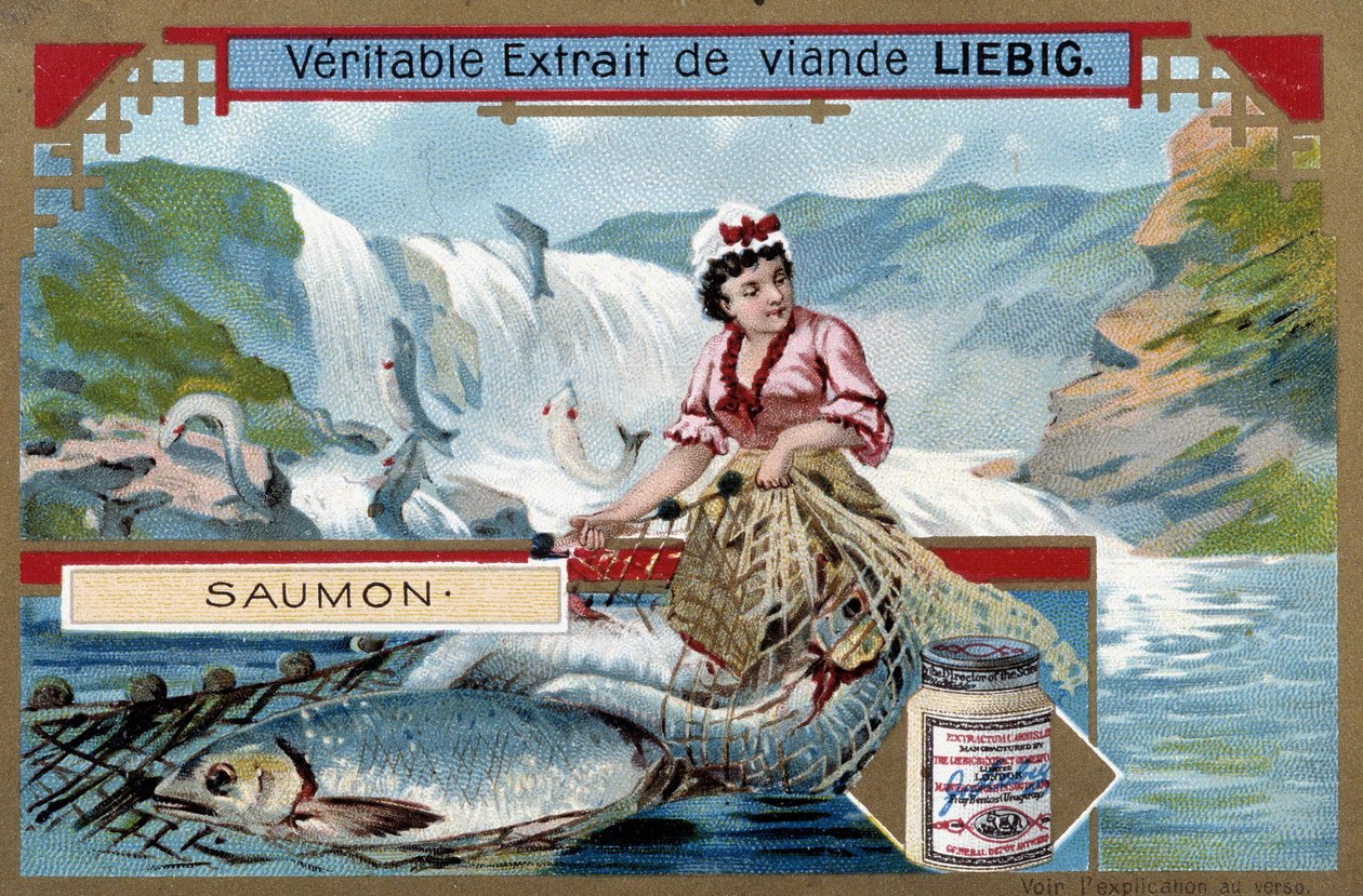 Somon balıkçılığı - 19. yüzyılın rengi. by Unknown artist