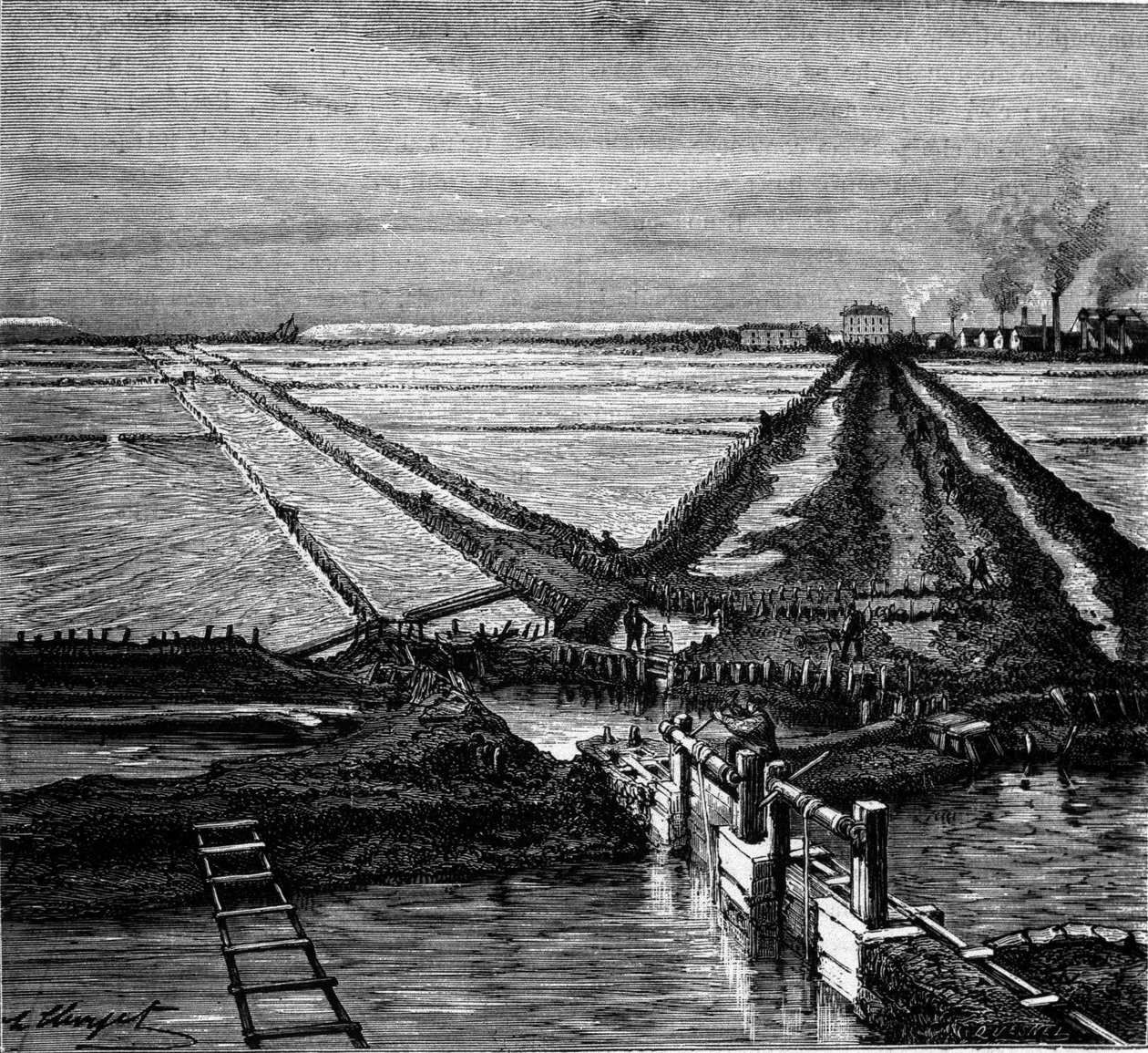Tuz üretimi: Akdeniz kıyısındaki bir tuzlu su (tuzlu bataklık) görünümü. 19. yüzyıl gravürü by Unknown artist