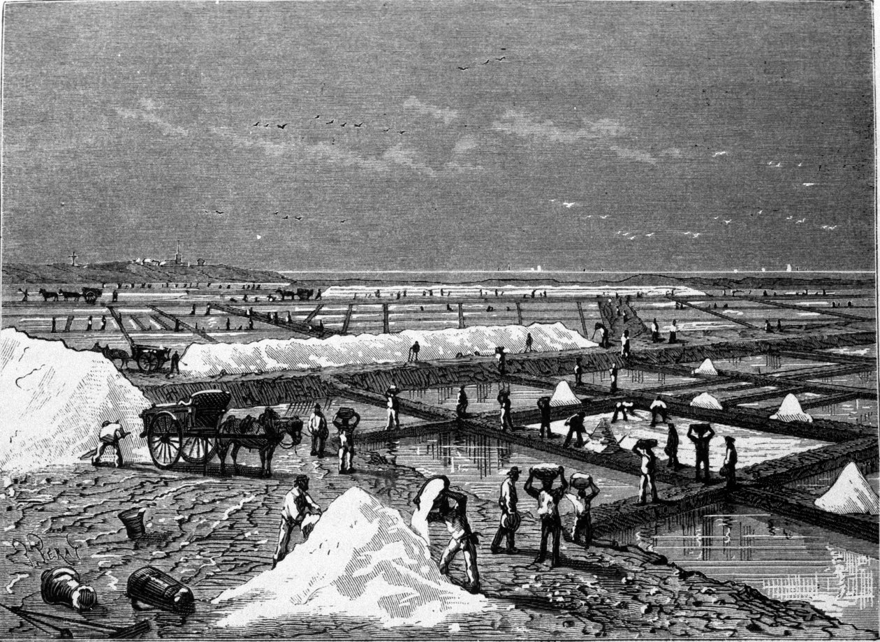 Tuz üretimi: bir tuz bataklığının görünümü (tuzlu su) 19. yüzyıl gravürü by Unknown artist