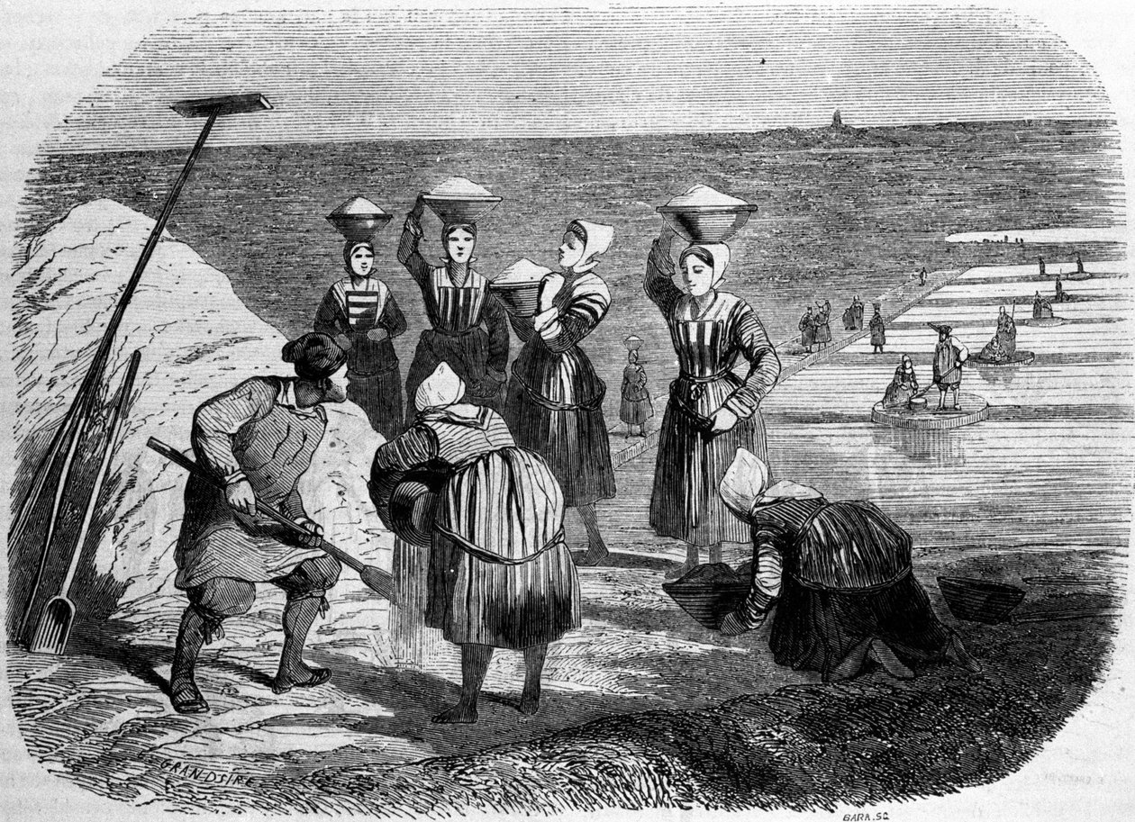Tuz üretimi: tuz bataklıklarında çalışan kadınlar. 19. yüzyıl gravürü by Unknown artist
