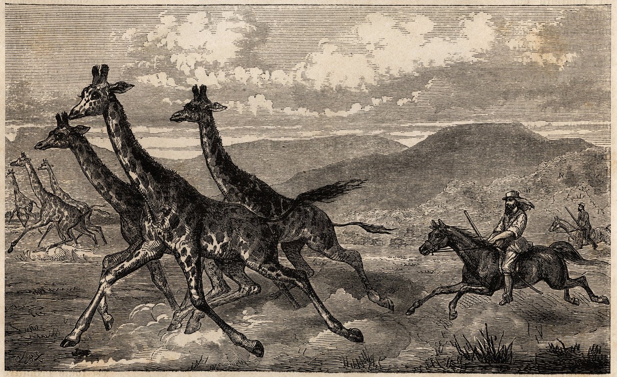Samuel W. Baker, Yukarı Nil bölgesinde Orta Afrika