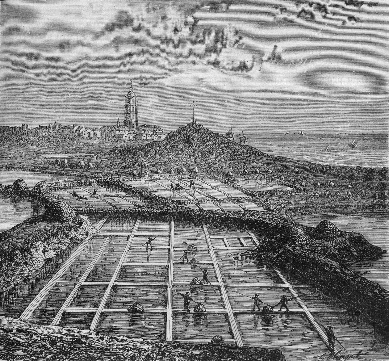 Sauniers, Saunage döneminde Croizic (Brittany) yakınlarındaki Bourg de Batz