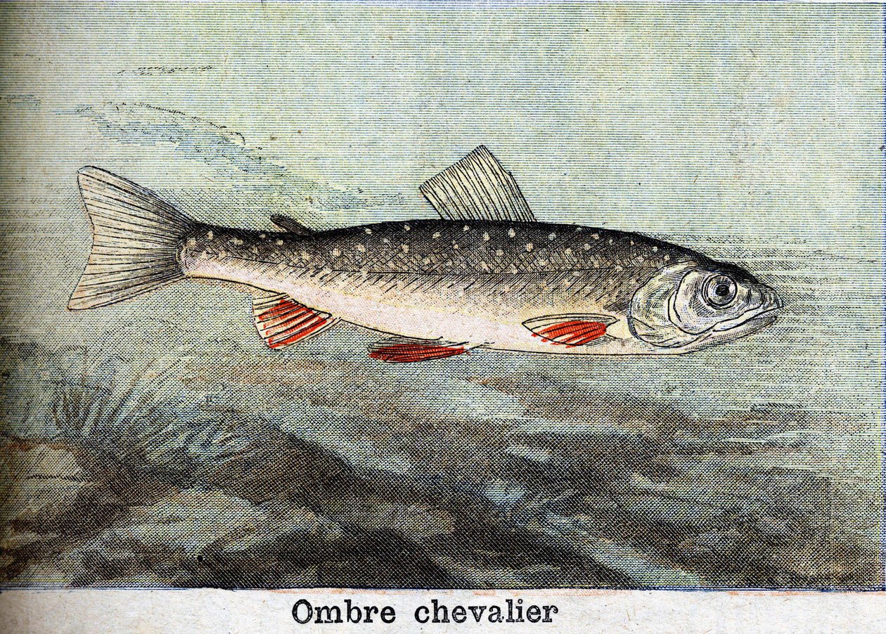 1898