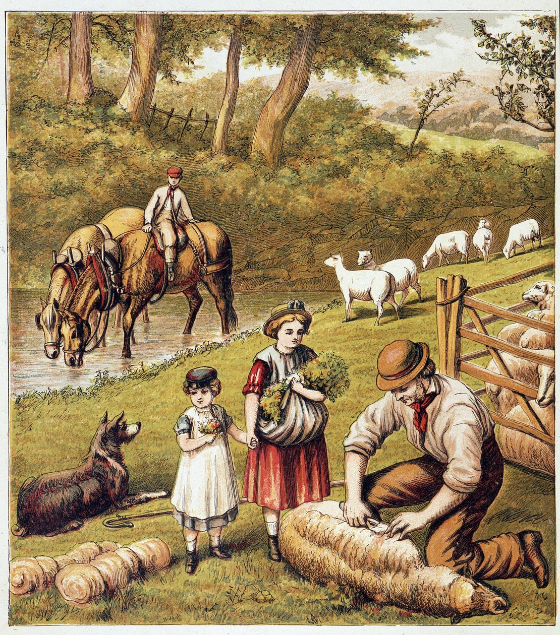 Koyun biçme - kromolitografi by Unknown artist