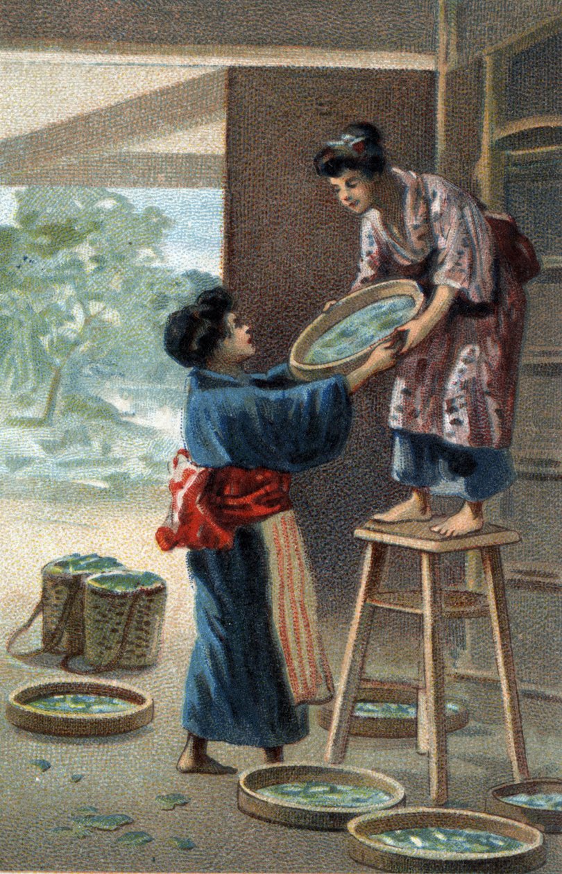 Japon mıknatısında ipekböceği üremesi. 19. yüzyılın sonlarında kromolitografi. by Unknown artist