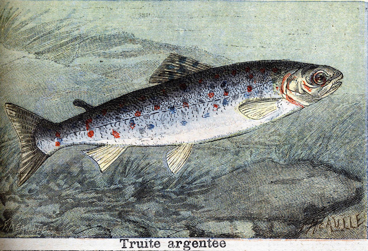 1898