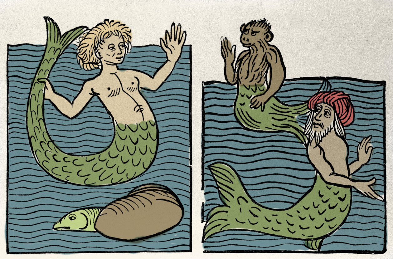 Sirene veya Deniz Bakiresi, Maymun ve Deniz Türkü. “Hortus sanitatis”ten gravür” by Unknown artist