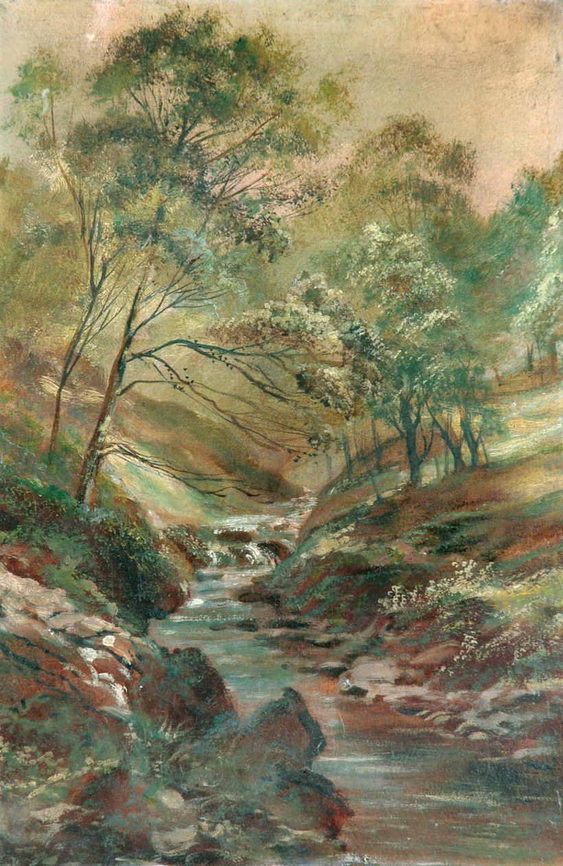 Bir Ahşaptan Akış by Unknown