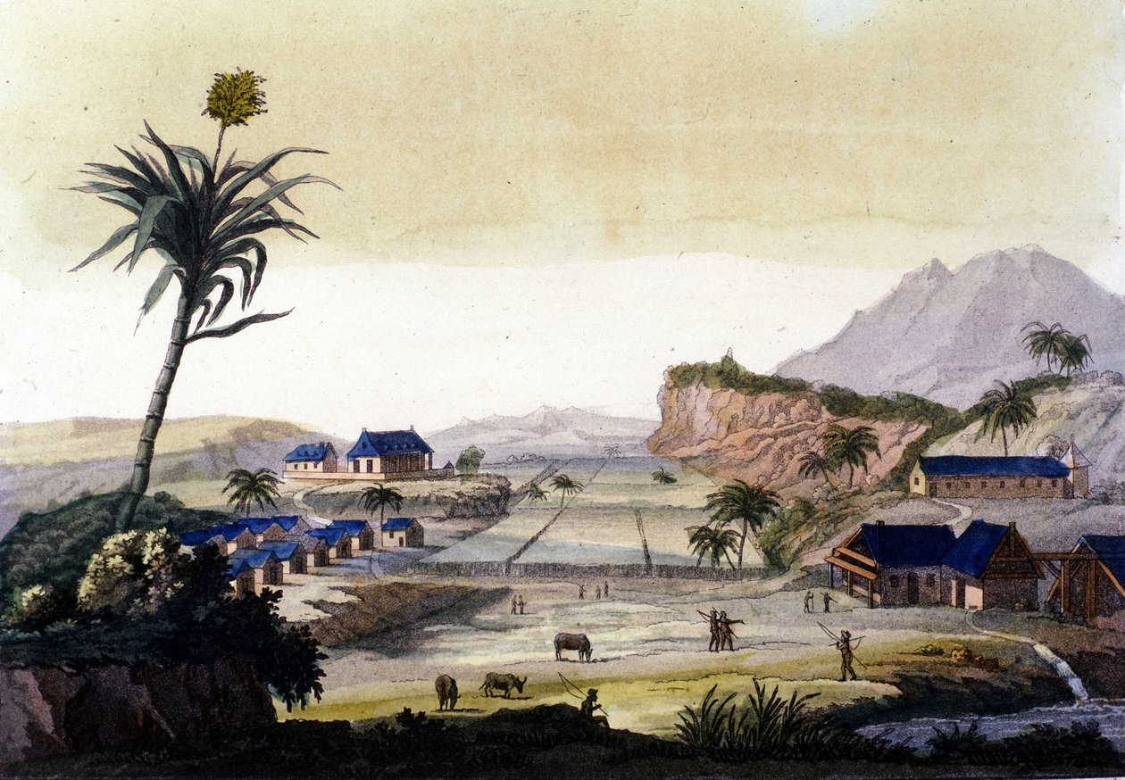 Güney Amerika