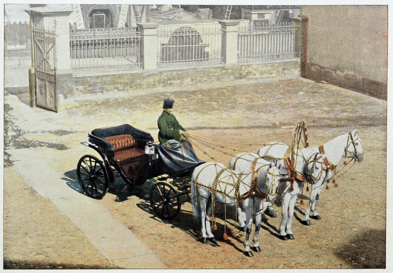 Yaz Troykası - fotoğrafçılık, 19. yüzyıl sonu by Unknown artist