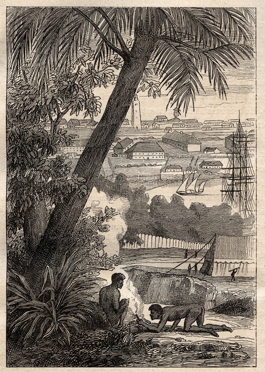 Güney Topraklarına Yolculuk (1800-1803) Nicolas Baudin (1754-1803): Sidney