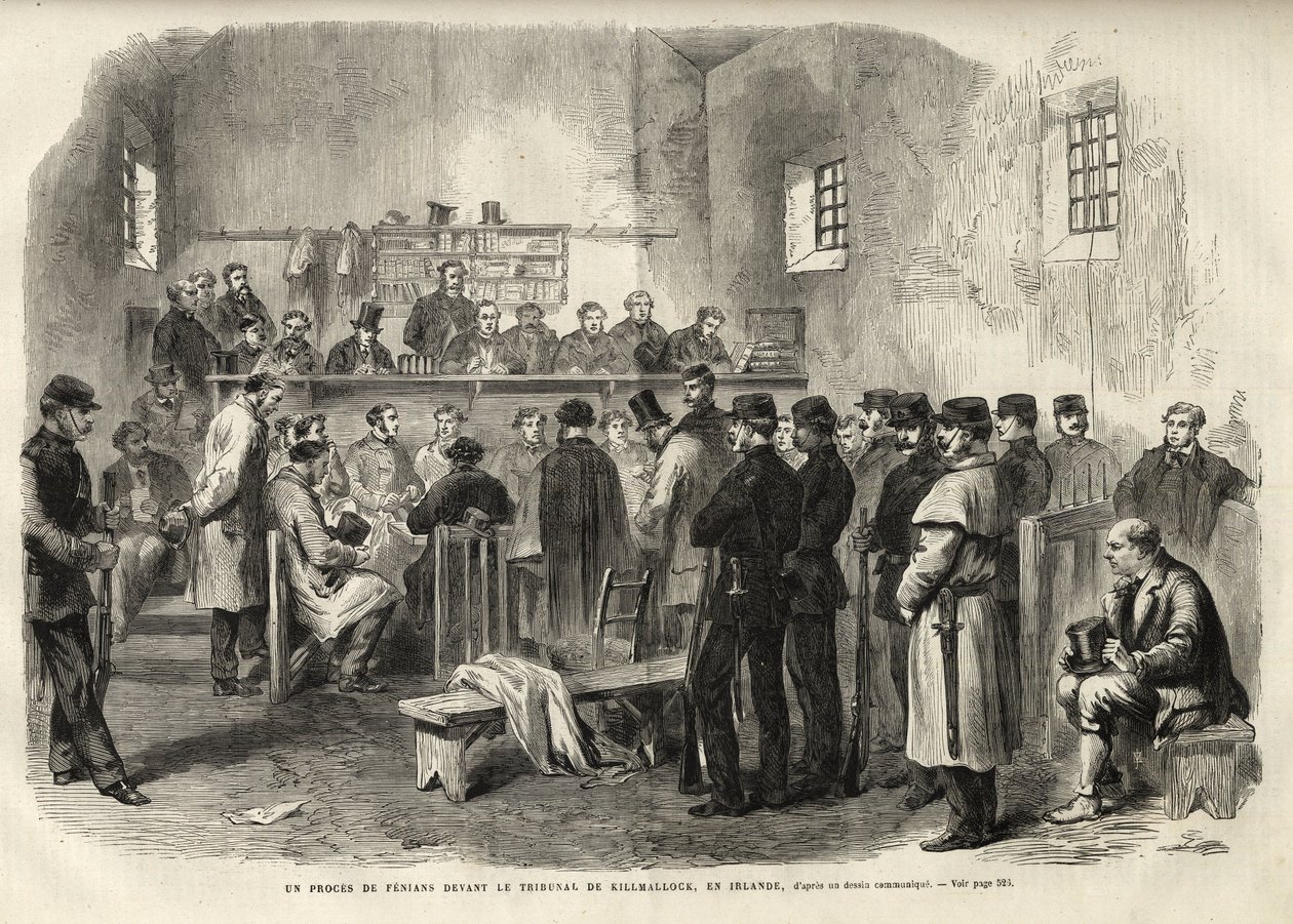 Fenia İsyanı, Kilmallock Adliyesinde Bay Cleary Hakkında Soruşturma - 1867 - İrlanda