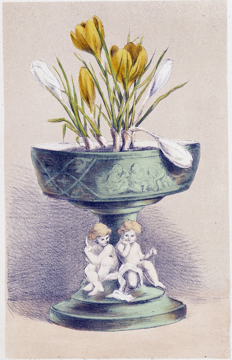 Dört Mevsim: Bahar, Nergis by Unknown artist