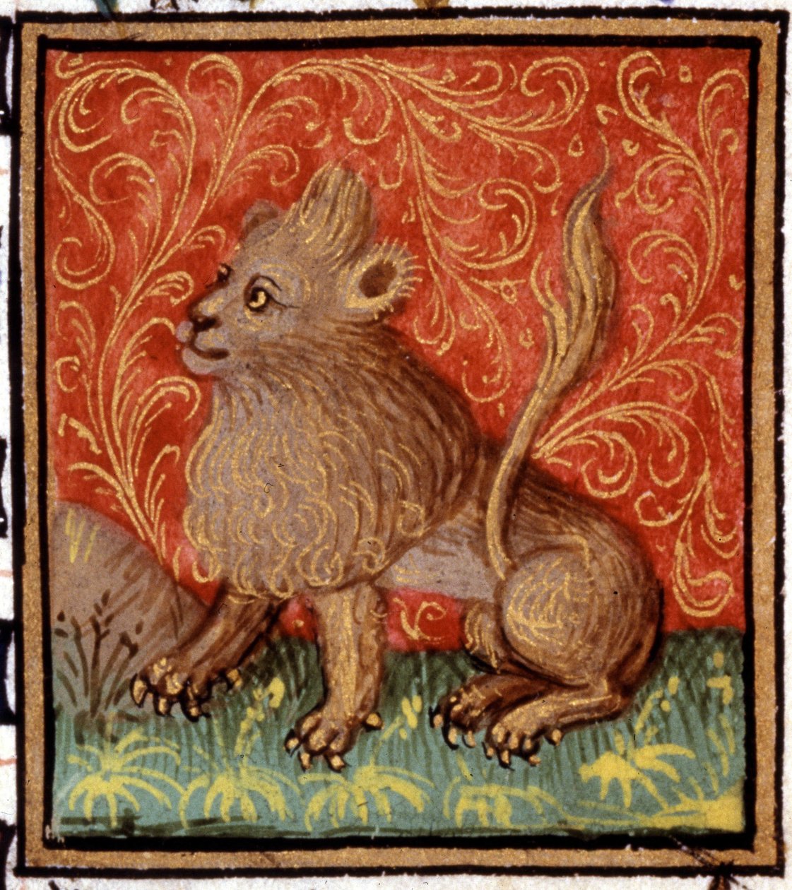 Aslan. Bir burcun minyatürü. 15. yüzyıl el yazması. İncil. Trivulziana, Milano. by Unknown artist