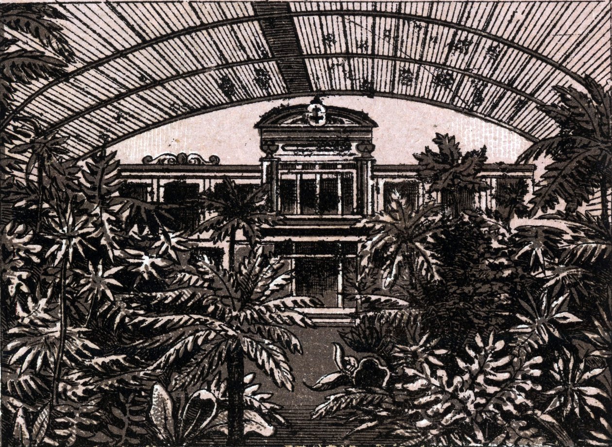 Palmiye Bahçesi Frankfurt, Almanya (Frankfurt, Almanya) “Dünya 168 Görünümü Anlatıyor”da Tarihsiz (19. yüzyıl sonu) by Unknown artist