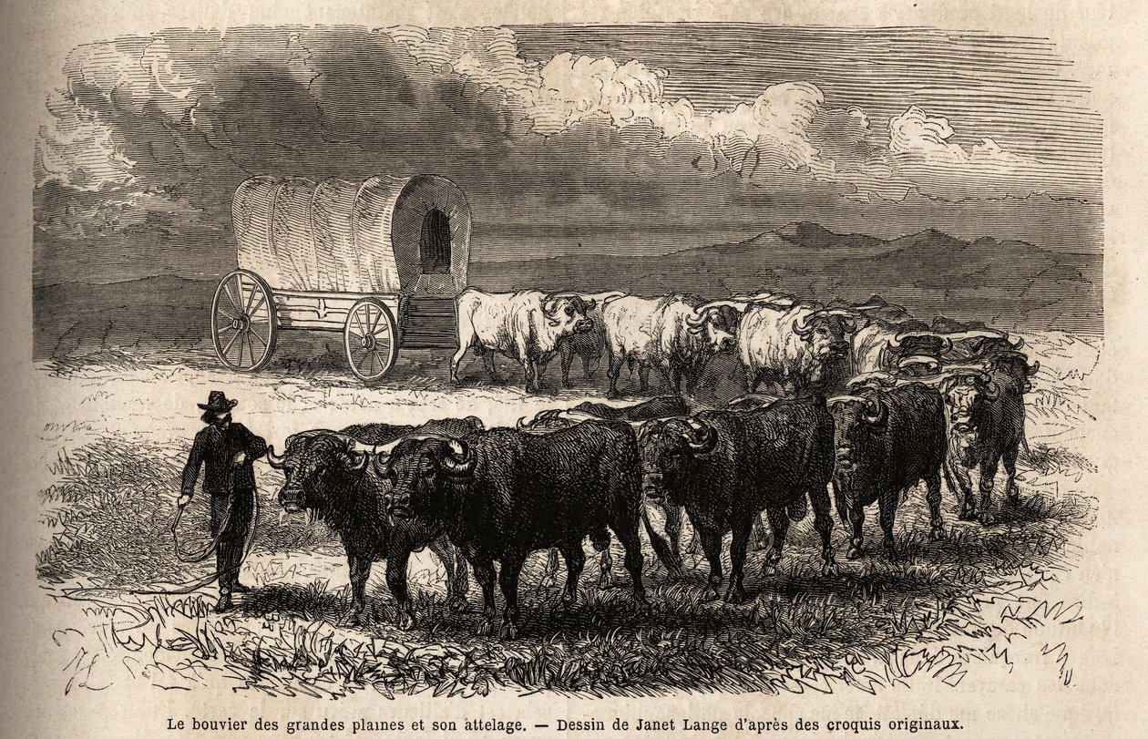 Büyük ovalar yönlendiriyor ve aksama. 1867