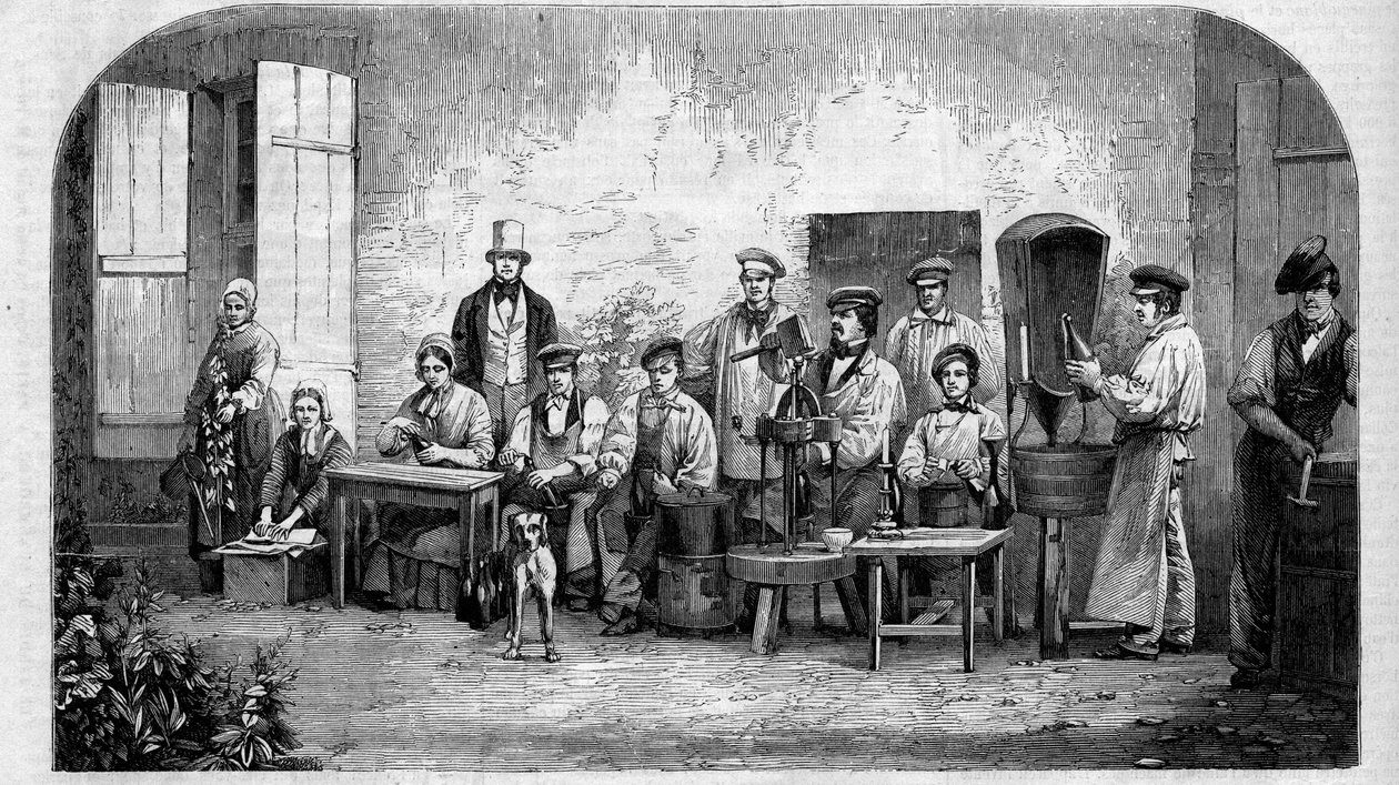 Şampanya şarabının şişelenmesi. 1864