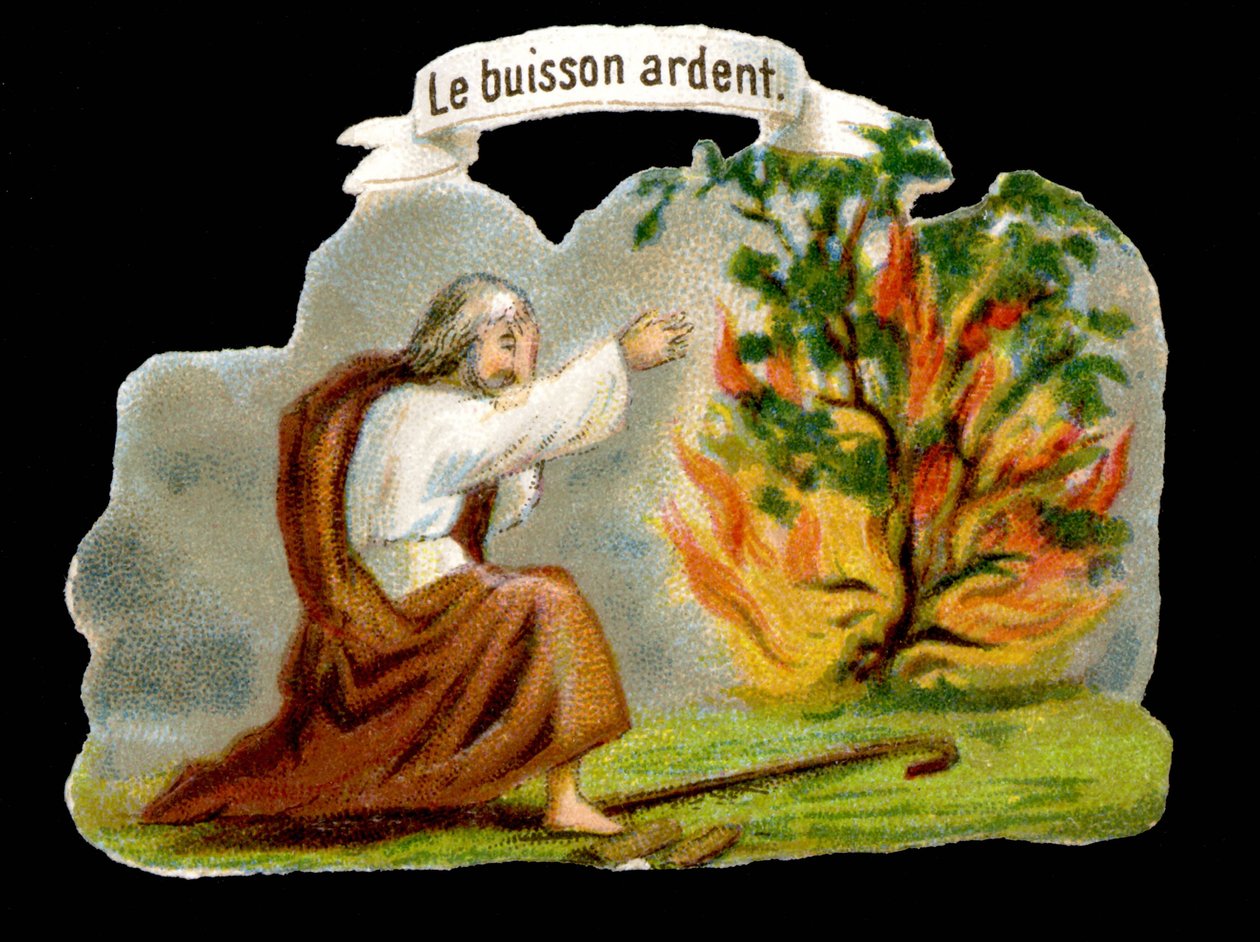 Yanan çalı - Popüler görüntü. 19. yüzyıl kromolitografisi. by Unknown artist