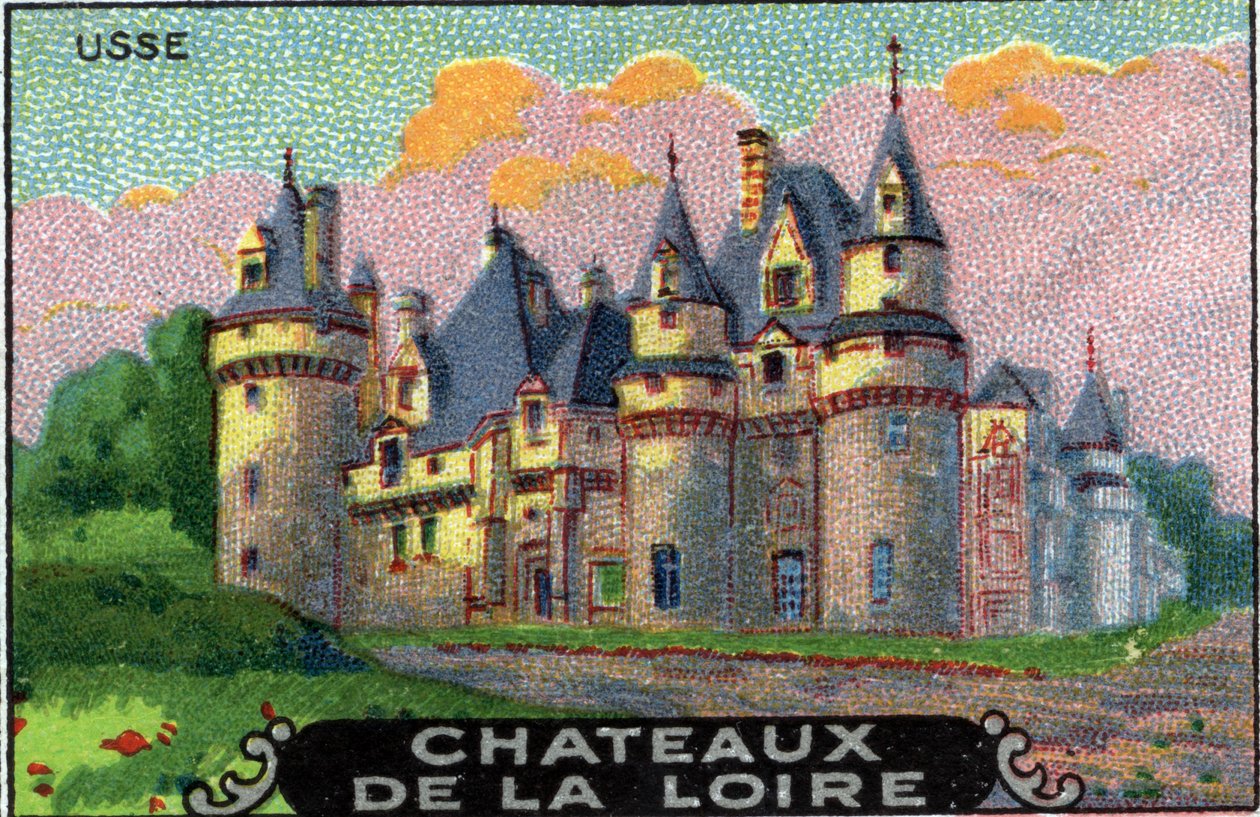 Loire şatoları: Rigny