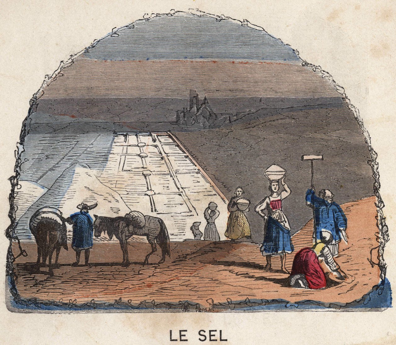 Tuz koleksiyonu. 19. yüzyıl illüstrasyonu. Bianchetti koleksiyonu. by Unknown artist
