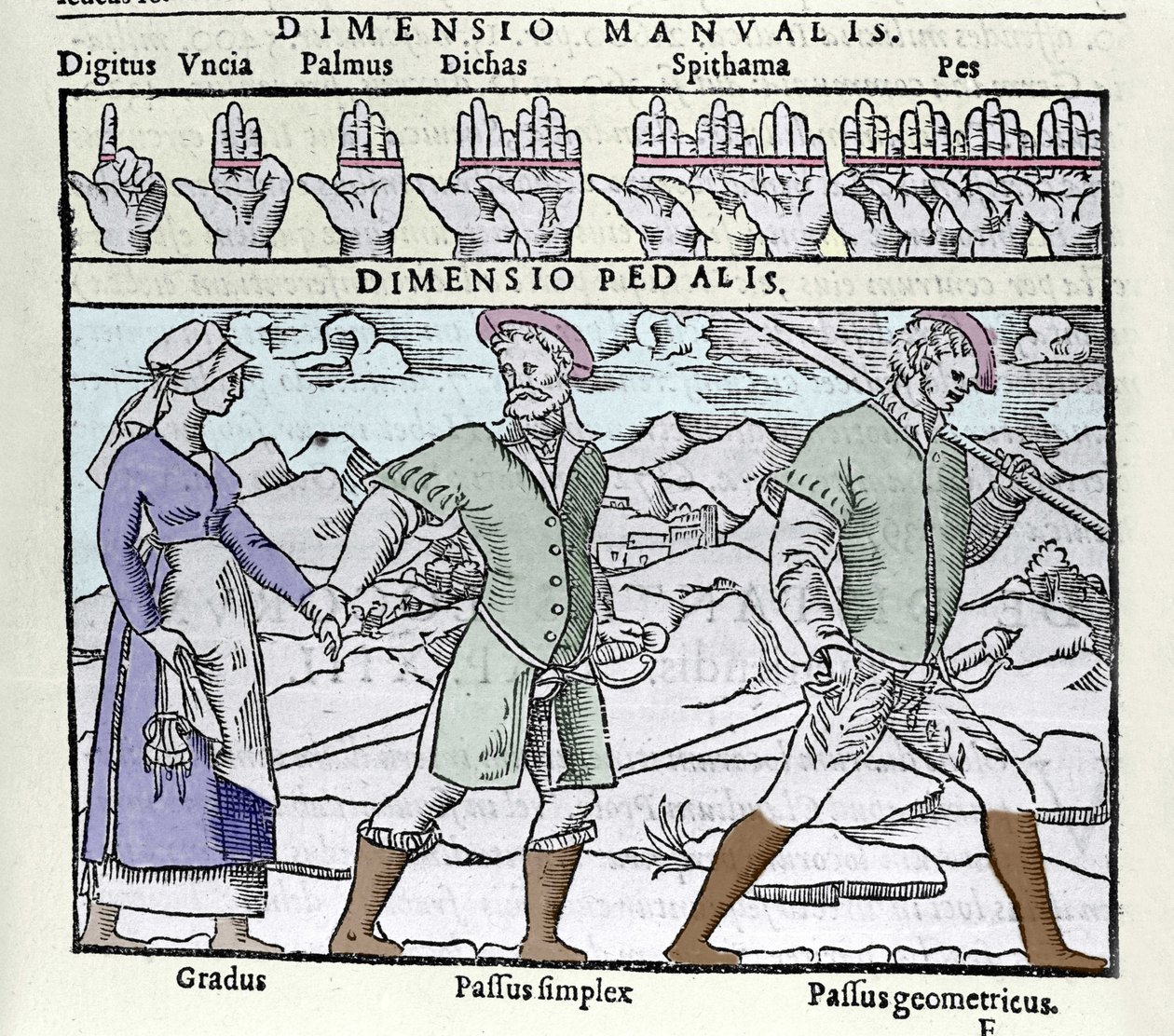 16. yüzyılda kullanılan uzunluk birimi. Üst: digitus (parmak veya başparmak), avuç içi (avuç içi veya empan = 4 parmak), pes (ayak = 4 yüzgeç). Altta: Gradus (tek değil), Passus (çift değil) tek yönlü ve Passus geometrikus. Petrus