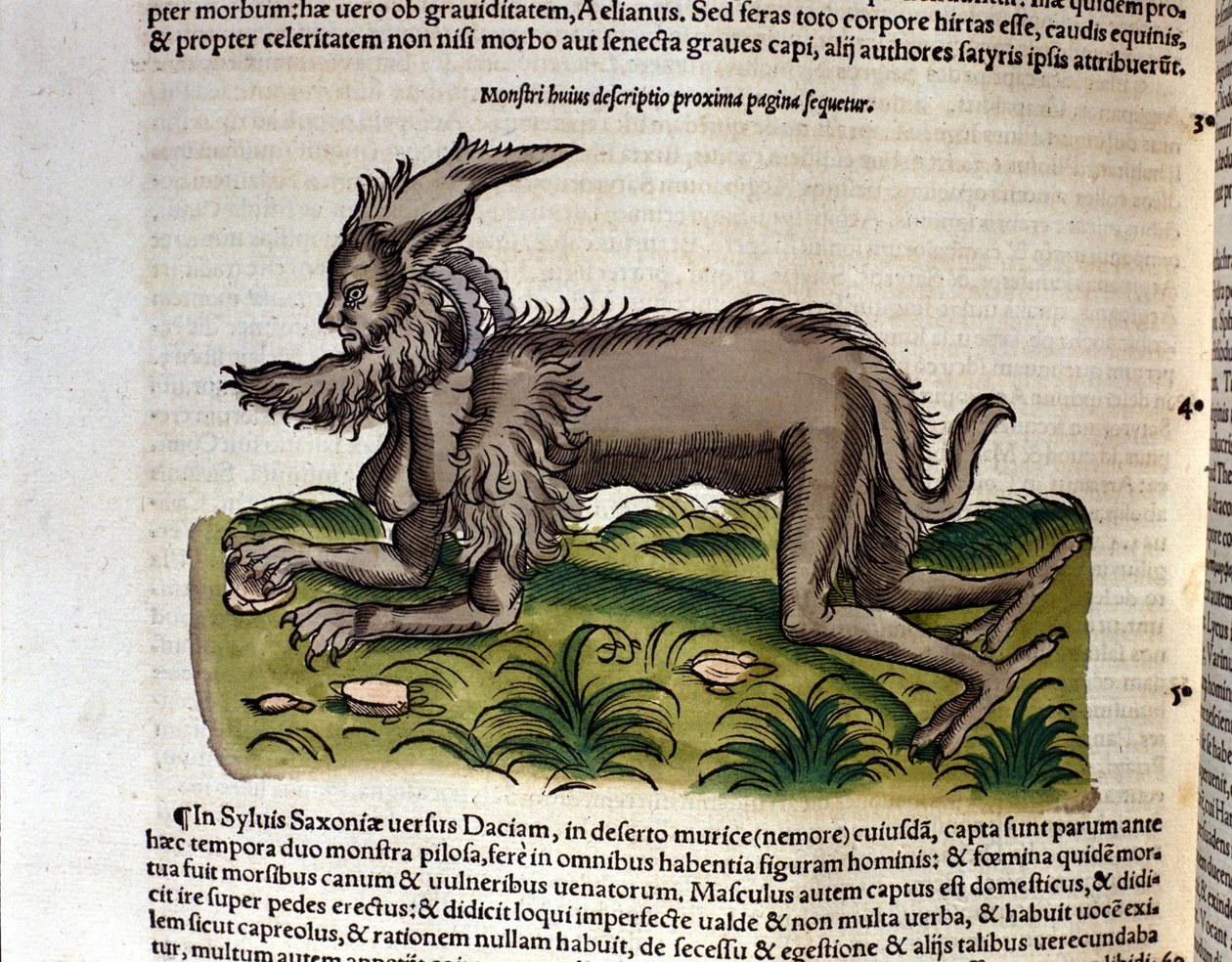 Conrad Gesner tarafından yazılan Historia Animalium