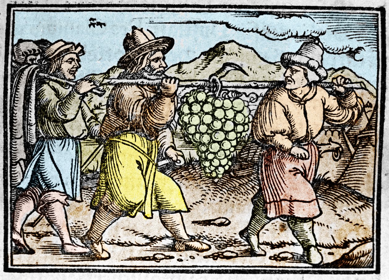 Yeşu ve Kaleb'in büyük bir salkım üzümle Kenan (Vaat Edilmiş Toprak) ülkesinden dönüşü. Chronicle Johann Stumpff “” Den edlen strucen besten fromen”” by Unknown artist