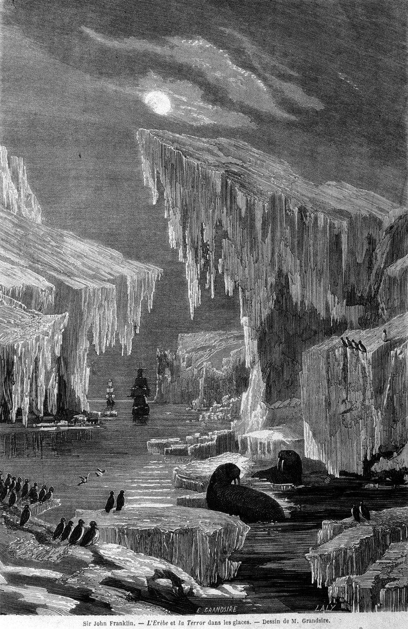 Sir John Franklin (1786-1847) liderliğindeki sefer sırasında “Erebus” ve “Terör” gemileri buza girdi. 19. yüzyıl gravürü by Unknown artist