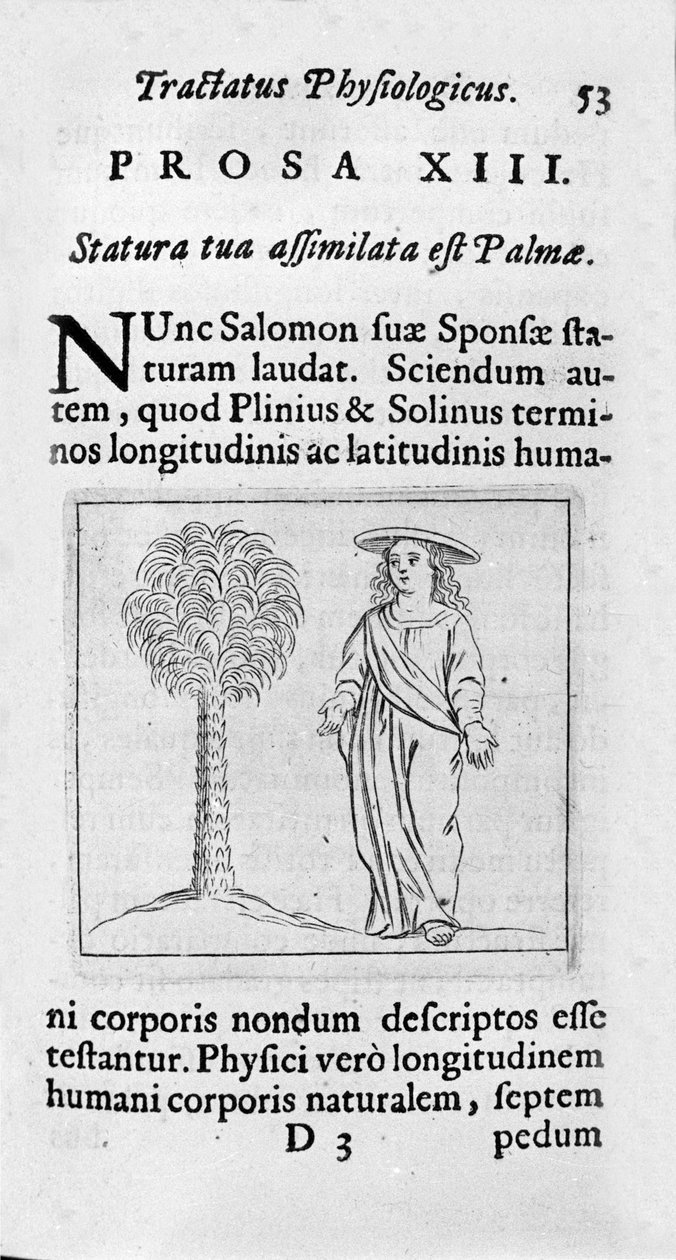 Kadının boyu. “” Tractatus physiologicus de pulchritudine””den alınan sayfa, Ernesto Venio