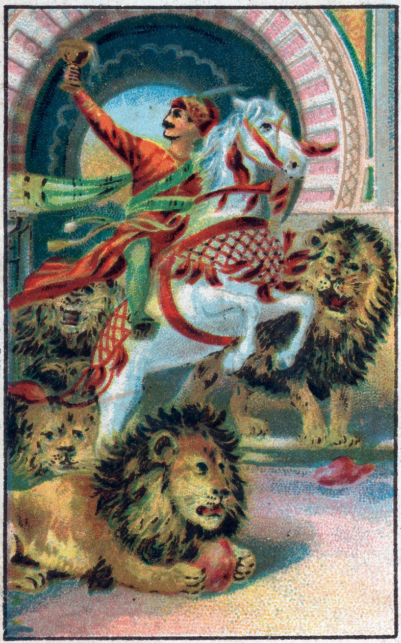 Aslanların kaynağı. Prens Ahmed