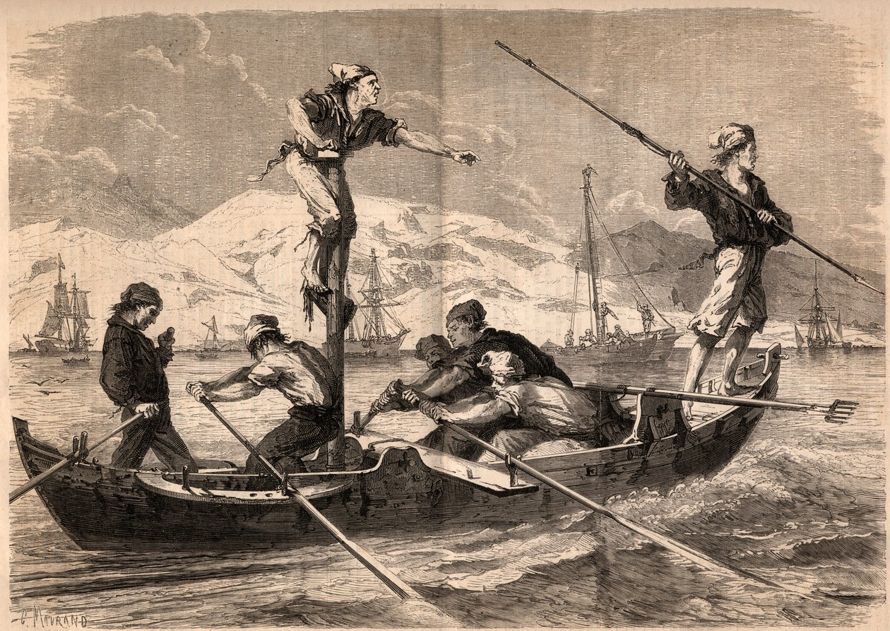 Kılıç balığı zıpkın balıkçılığı (pesce spada, kılıç balığı) 1862