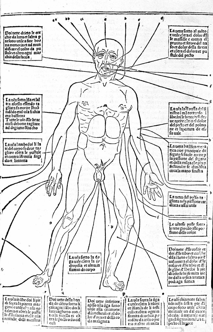 Bu resim vücudun yerlerini gösterir veya ağrıya bağlı olarak kanama pratiği yapar. Tıp İncelemesi, Gerolamo Cardano (Cardanus Hieronymus), Floransa by Unknown artist
