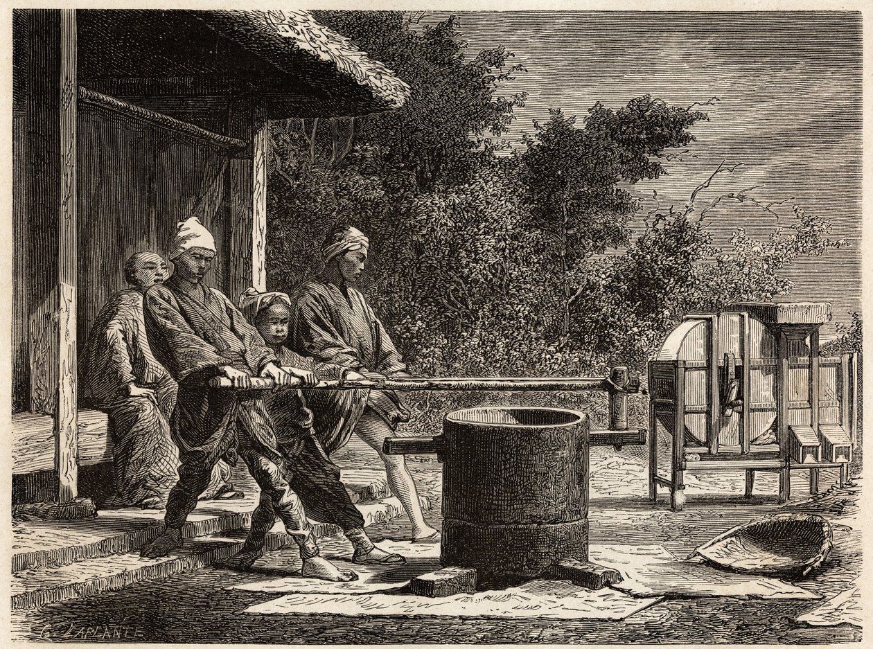 Pirinç değirmenini işleten üç köylü. Edouard Charton başkanlığında yayınlanan “Le tour du monde, nouveau dergi des voyages” da İsviçre Konfederasyonu bakanı Aime Humbert tarafından 1863-1864