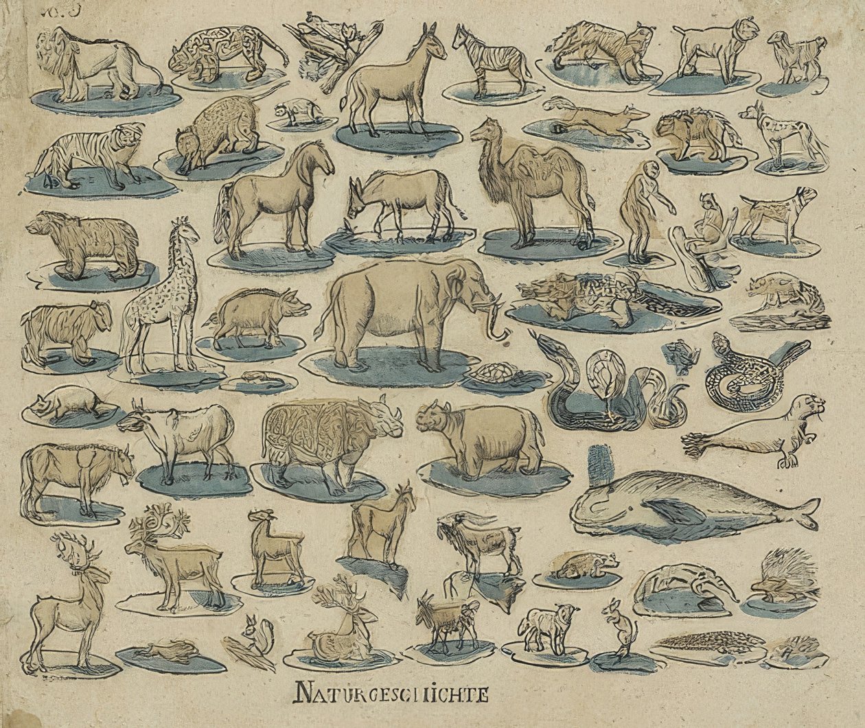 Hayvanlar. 1750-1800 by Unknown