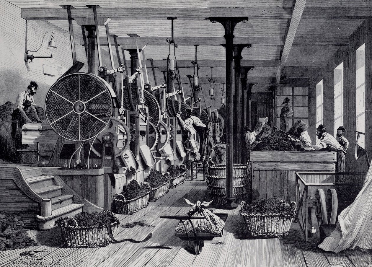 Tütün fabrikası, çamaşır odası ve tütün tecavüzü. 1867 civarında gravür. Paris, Musee Carnavalet by Unknown artist