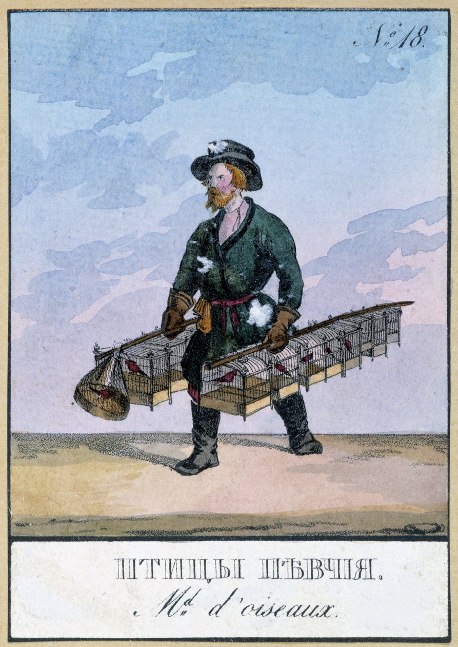 Gezici kuş tüccarı - 19. yüzyıl gravürü by Unknown artist