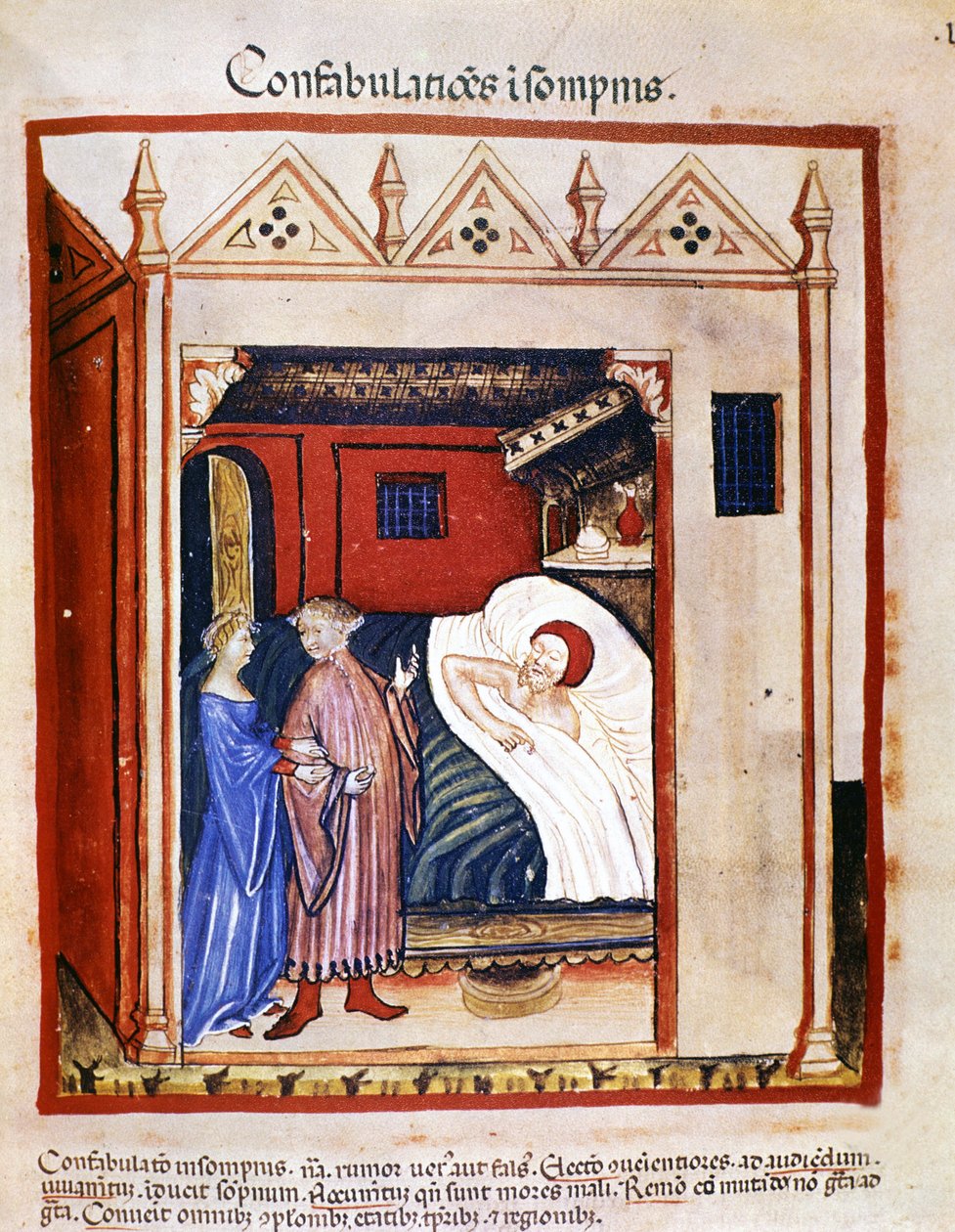 Tıp incelemesi “” Tacuinum sanitatis” 14. yüzyıl: uykularında konuşan insanlar. 14. yüzyıl. BN, Viyana. by Unknown artist