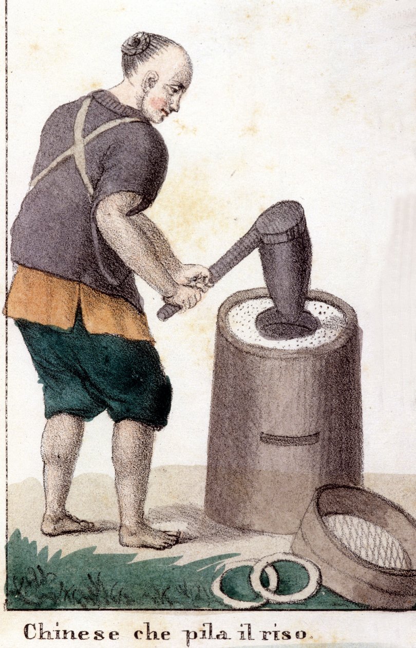 Un Chinese qui pille le riz - in dünyanın tüm halklarının evrensel kostümü by Unknown artist
