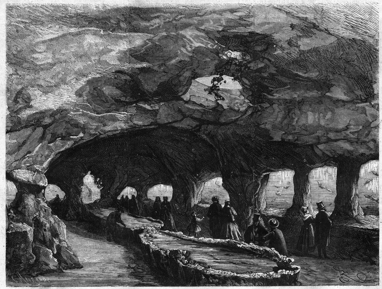 Evrensel Sergi: büyük deniz akvaryumunun içi. “İlginç Evren” de Gravür by Unknown artist