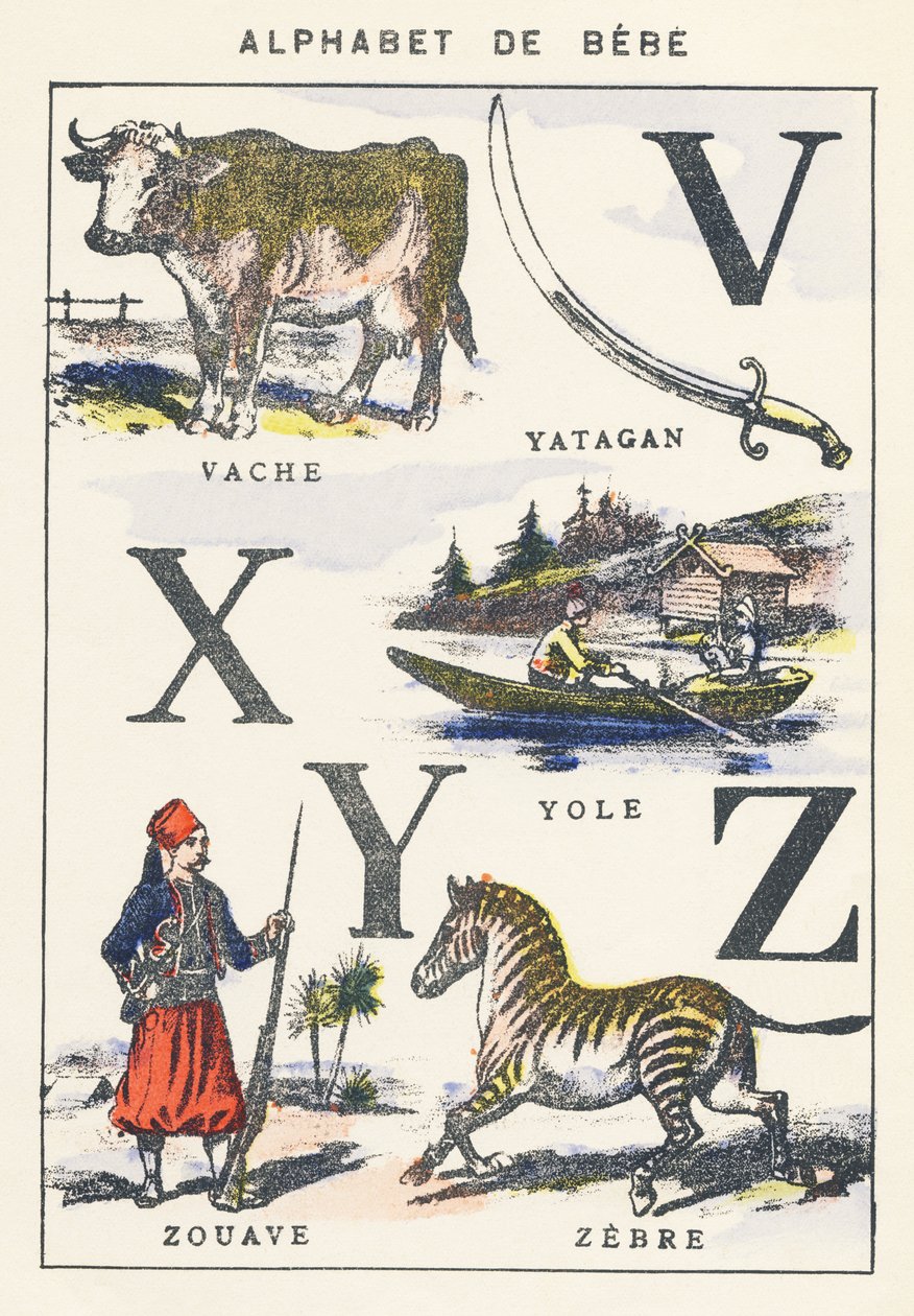V X Y Z: inek, yumurta sarısı, zouave, zebra by Unknown artist