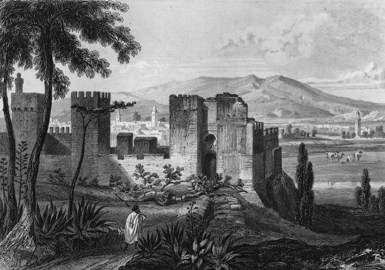 19. yüzyılda Cezayir