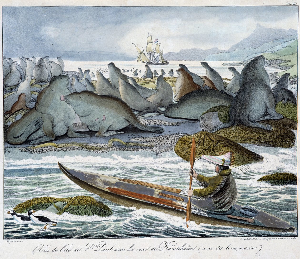 Deniz aslanları ile Kamçatka denizinde St. Paul adasının görünümü. by Unknown artist