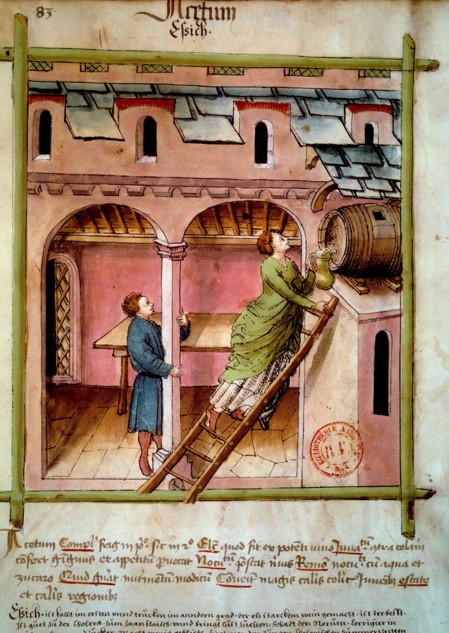 Sirke: genç bir kadın bir testi doldurur. İlaç ve diyetetik sağımlarından aydınlatma “” Tacuinum sanitatis”” by Unknown artist