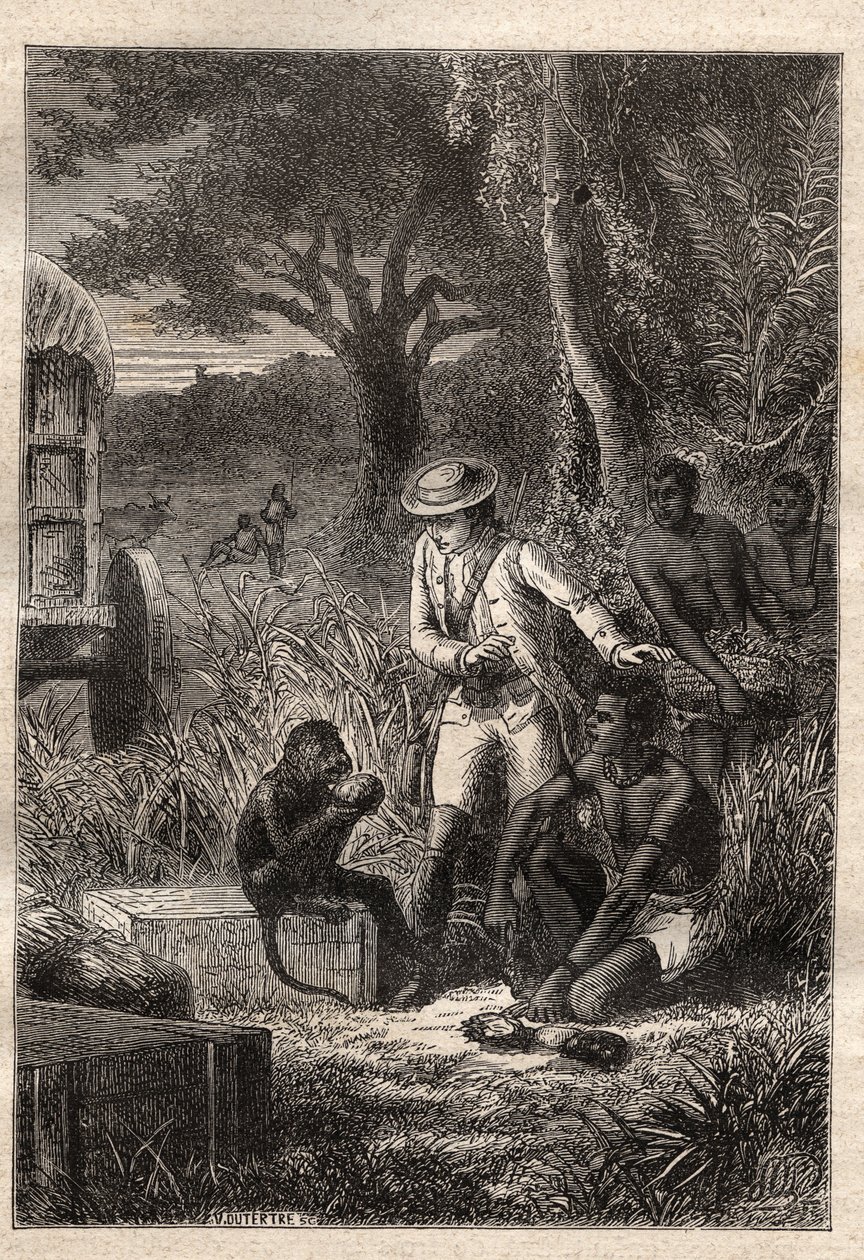 Voyage dans la Caffrerie (Güney Afrika) (1781), Francois Levaillant (Le Vaillant) (1753-1824): Levaillant ve meyvelerin ve köklerin yenilebilir olduğunu doğrulamak için tadına bakan maymun degustatörü Maitre Kees “” Les Gra by Unknown artist
