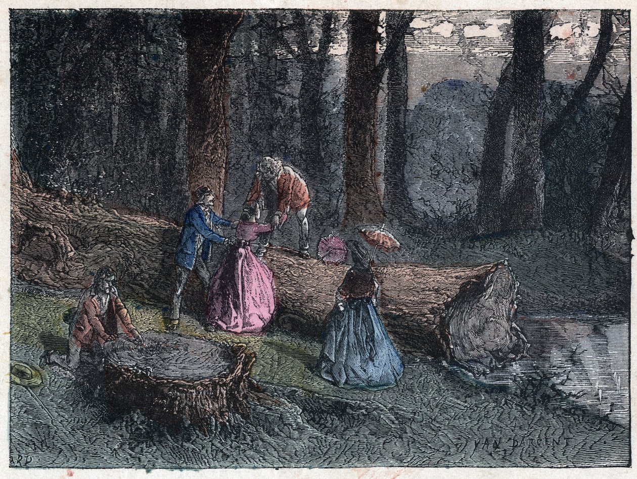 Yürüyenler, ağacın gerginliğini inceleyerek ölü bir meşenin yaşını hesaplamaya çalışırlar. 19. yüzyılın sonlarında gravür. by Unknown artist