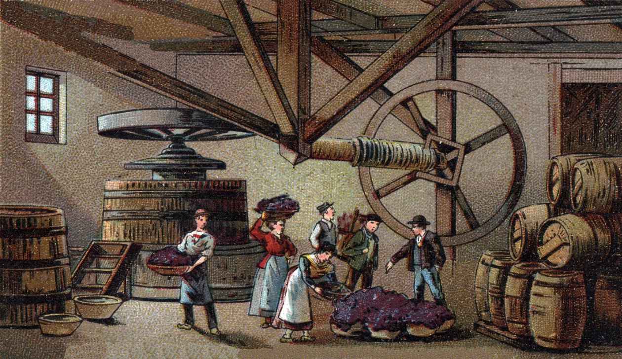 Şarap üretimi: Beaune bakımevinin şarap presi (clos vougeot). 19. yüzyılın sonlarında kromolitografi by Unknown artist